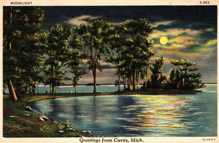 Curtis - Vintage Postcard (newer photo)